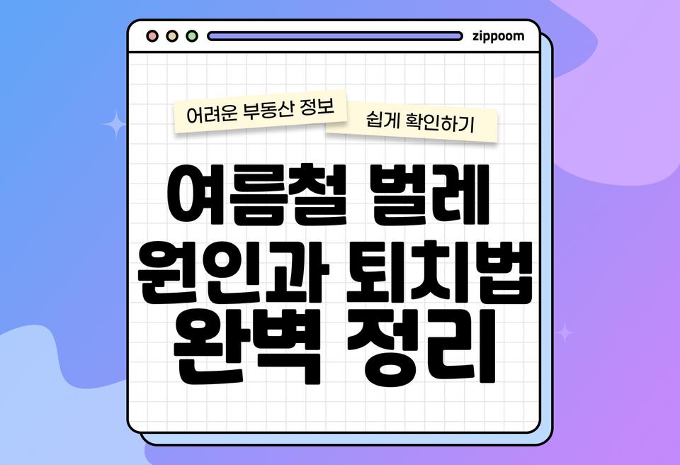 첫번째 컨텐츠 썸네일