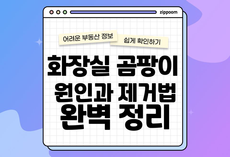 첫번째 컨텐츠 썸네일