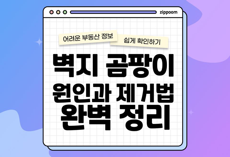 첫번째 컨텐츠 썸네일