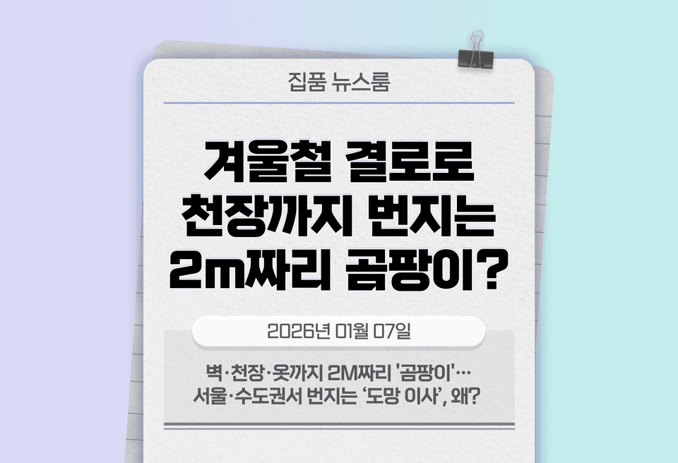 첫번째 컨텐츠 썸네일